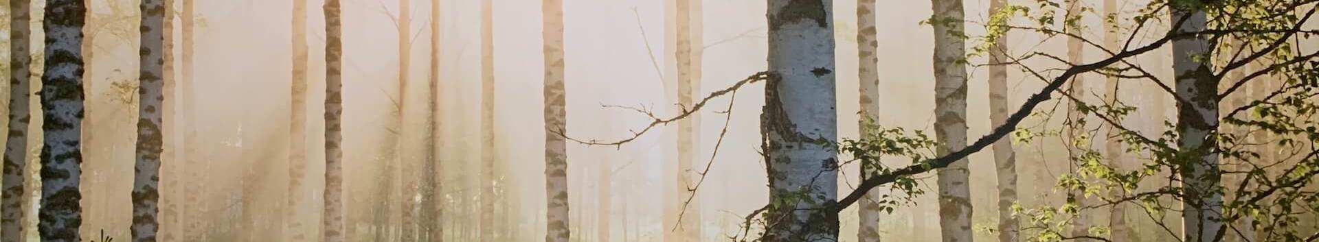 Alkeiskoulutus Espoossa 1.3. - 2.4.2023